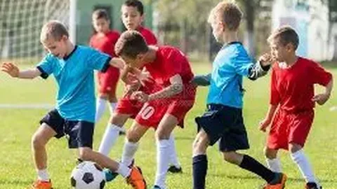 解码23亿人次背后的文化巨变之谜