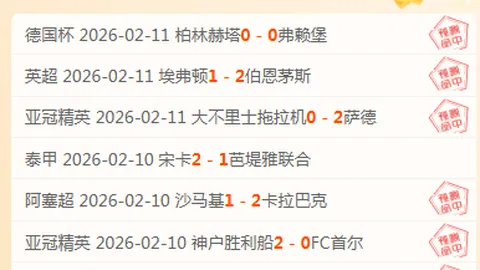 大乐透期号专家质合分析推荐：德乙胜负深层洞察