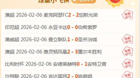 大乐透期号裁判误判引争议，专家解析错哥真登表现